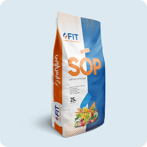 rajwana_printing_packaging_product_11