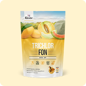 rajwana_printing_packaging_product_14