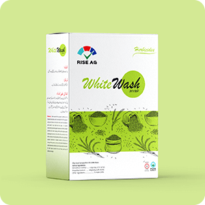 rajwana_printing_packaging_product_16